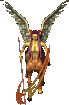 Image 43